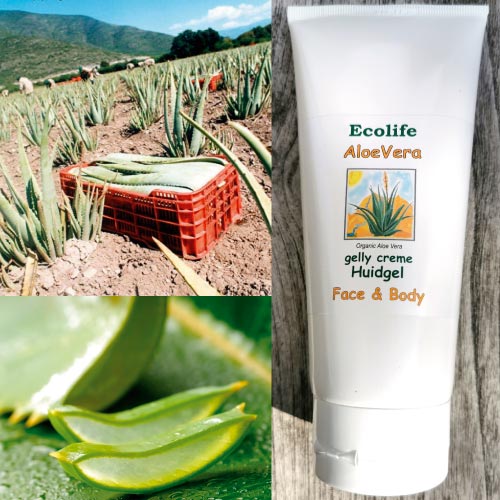 Gel Aloe vera Ecolife eczeem & huidklachten